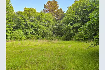 Tbd W Cathy Street, Lone Star, TX 75668 - Photo 3