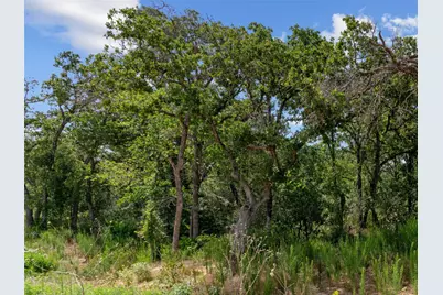 Lot 54 Kilkenny Rd, Poolville, TX 76487 - Photo 5