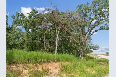 Lot 54 Kilkenny Rd, Poolville, TX 76487 - Photo 3