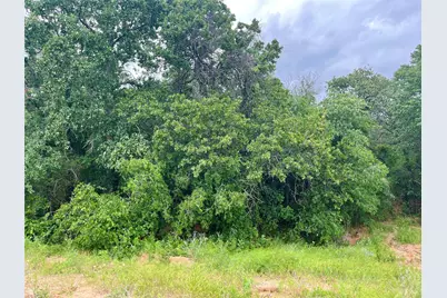 Lot 18 Kilkenny, Poolville, TX 76487 - Photo 1