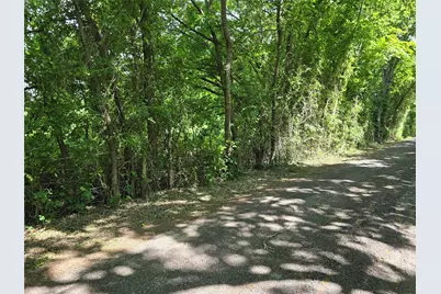 Tbd County Road 1039, Blue Ridge, TX 75424 - Photo 3