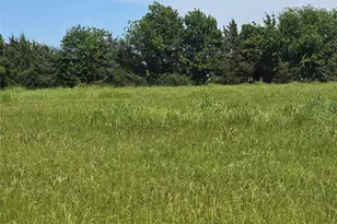 Tbd County Road 1039, Blue Ridge, TX 75424 - Photo 1