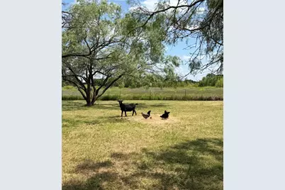 5476 County Road 2646, Royse City, TX 75189 - Photo 31