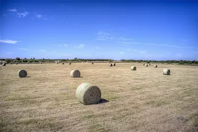 Tbd Highway 34 #FM 1566, Wolfe City, TX 75496 - Photo 21