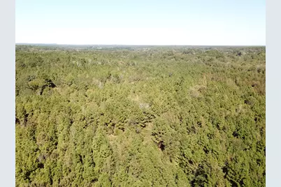 21471 N Fm 95, Garrison, TX 75946 - Photo 19