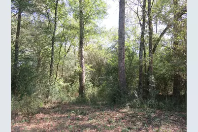 21471 N Fm 95, Garrison, TX 75946 - Photo 3