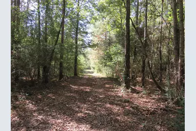 21471 N Fm 95, Garrison, TX 75946 - Photo 5