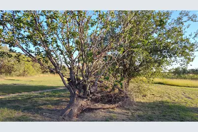 5428 Cr 364, Anson, TX 79501 - Photo 9