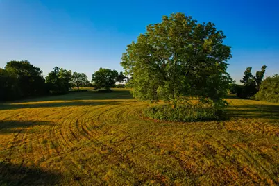 2000 County Road 2950, Dodd City, TX 75438 - Photo 29