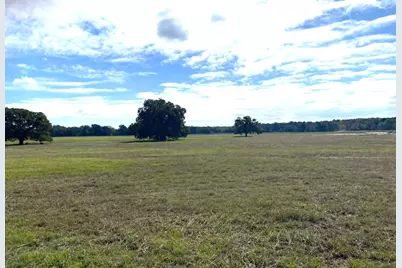 287 County Road 269, Kosse, TX 76653 - Photo 3