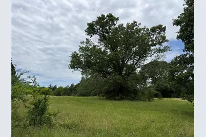 4451 County Road 2295, Telephone, TX 75488 - Photo 1