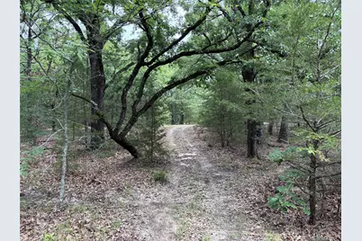 2212 County Road 4128, Cumby, TX 75433 - Photo 23