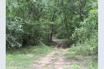 2212 County Road 4128, Cumby, TX 75433 - Photo 5