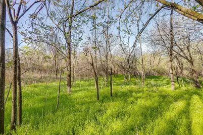418 E First Street, Weatherford, TX 76086 - Photo 13