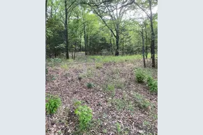0 Hwy 175, Mabank, TX 75147 - Photo 3