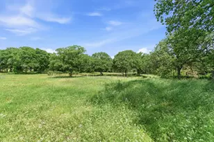 3523 E Hwy 199, Springtown, TX 76082 - Photo 29