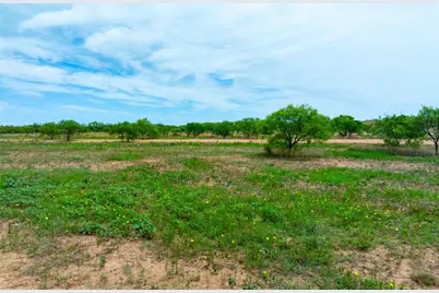 13558 B County Road 440 A, Merkel, TX 79536 - Photo 7