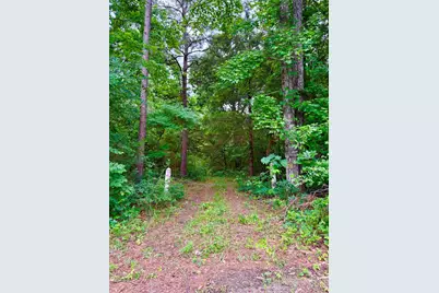 Tbd County Road 4504, Jacksonville, TX 75766 - Photo 1