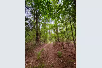Tbd County Road 4504, Jacksonville, TX 75766 - Photo 11