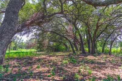 12597 F.M. 2559, Brownwood, TX 76801 - Photo 23