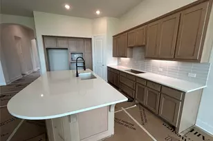 1608 Shandy Ln, Fort Worth, TX 76052 - Photo 3