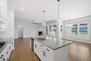 4409 Dandelion Ln, Midlothian, TX 76065 - Photo 15