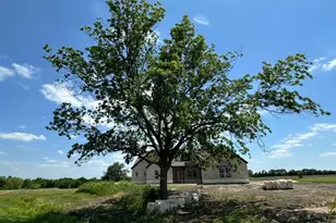 205 Cobb Rd, Leonard, TX 75452 - Photo 5