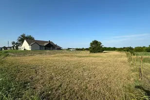 205 Cobb Rd, Leonard, TX 75452 - Photo 23