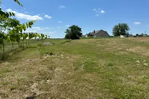 205 Cobb Rd, Leonard, TX 75452 - Photo 23