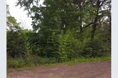 115 Abrams Road, Gun Barrel City, TX 75156 - Photo 1
