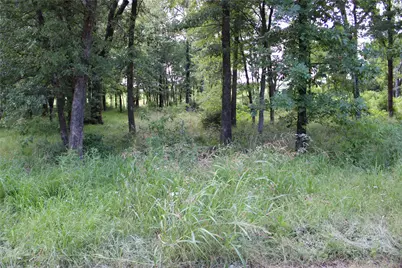 116 Lakeview Trail, Mabank, TX 75147 - Photo 5