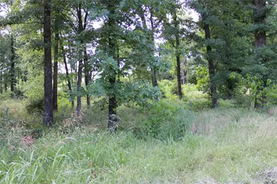 116 Lakeview Trail, Mabank, TX 75147 - Photo 7