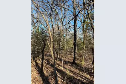 Tbd County Road 2415, Honey Grove, TX 75446 - Photo 5