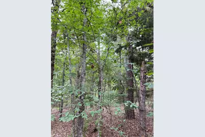 0000 Pr 6662, Mineola, TX 75773 - Photo 7