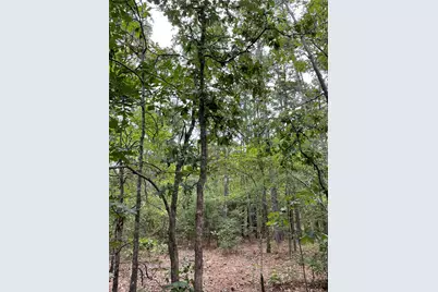 0000 Pr 6662, Mineola, TX 75773 - Photo 5