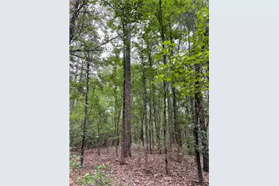0000 Pr 6662, Mineola, TX 75773 - Photo 3