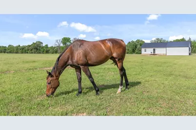 15703 County Road 2854, Eustace, TX 75124 - Photo 29