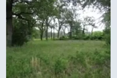 6489 S Fm 779, Alba, TX 75140 - Photo 3