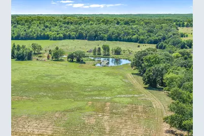 Tbd County Road 4509, Ben Wheeler, TX 75754 - Photo 5