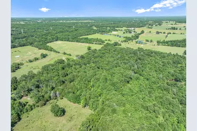 Tbd County Road 4509, Ben Wheeler, TX 75754 - Photo 15