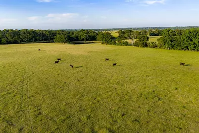 1423 Fm 1653, Ben Wheeler, TX 75754 - Photo 29