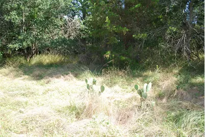 1306 Overlook Drive, Whitney, TX 76692 - Photo 9