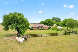 1401 Vz County Road 3411, Wills Point, TX 75169 - Photo 5
