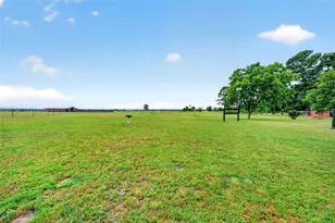 1401 Vz County Road 3411, Wills Point, TX 75169 - Photo 33