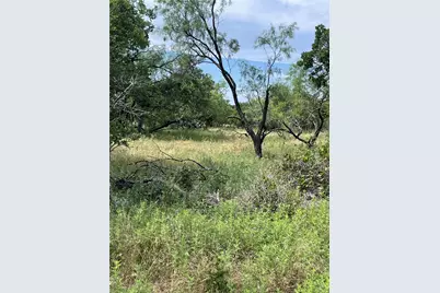 31.09 Ac Hoefle Road, Jacksboro, TX 76458 - Photo 13