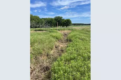 31.09 Ac Hoefle Road, Jacksboro, TX 76458 - Photo 5