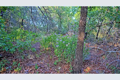 Tbd Scenic Hill Drive, Bowie, TX 76230 - Photo 17
