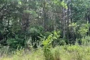 [Address not provided], Pittsburg, TX 75686 - Photo 1