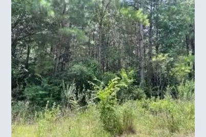 [Address not provided], Pittsburg, TX 75686 - Photo 1