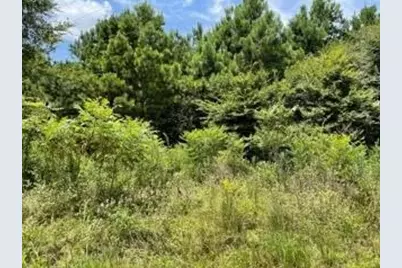 [Address not provided], Pittsburg, TX 75686 - Photo 3